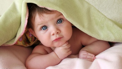 Took each automobile lock pick set